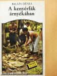 A kenyérfák árnyékában