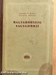 Magyarország nagygombái