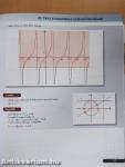 Matematika 11.