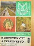 S középen ott a Velencei-tó...