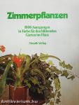 Zimmerpflanzen