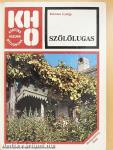 Szőlőlugas
