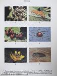 Biológiai lexikon 1-4.