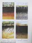 Biológiai lexikon 1-4.