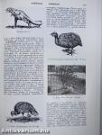 Biológiai lexikon 1-4.