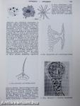 Biológiai lexikon 1-4.
