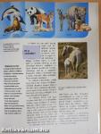 Vadállatok