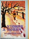 Nyomok a hóban