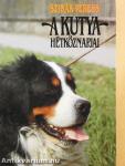 A kutya hétköznapjai