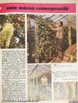 Kertbarát magazin 1978. március