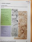 Deutsch mit Grips 2 - Kursbuch