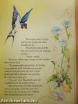 Hans Andersen Stories