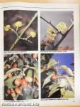 Kertbarát Magazin 1990/4.
