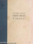 Erdő mező virágai