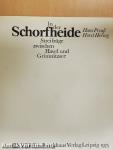 In der Schorfheide