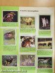 WWF - Védett állatok