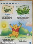 Kicsik és nagyok