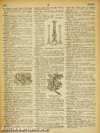 Webster's Giant Illustrated Approved Dictionary