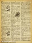 Webster's Giant Illustrated Approved Dictionary