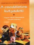 A csodálatos kutyadoki