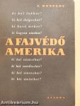 A fajvédő Amerika