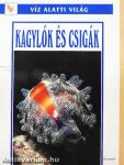 Kagylók és csigák
