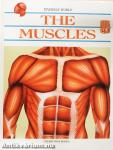The Muscles