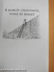 Kell a gyereknek a korlát