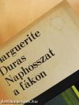 Naphosszat a fákon