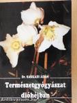 Természetgyógyászat dióhéjban
