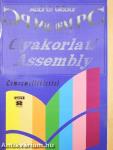 Gyakorlati Assembly - Floppyval