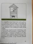 A bélműködés zavarai