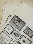 Szülőföldem igézetében