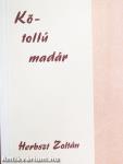 Kőtollú madár