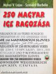 250 magyar ige ragozása