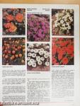 Kertbarát Magazin 1987/1-3.