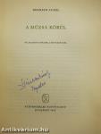 A Múzsa körül
