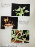 Micronutrients
