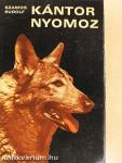 Kántor nyomoz