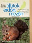 Állatok erdőn, mezőn