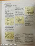 Easy Italian Cookery
