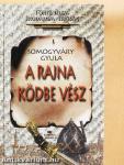 A Rajna ködbe vész