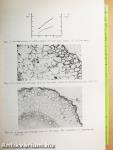 Root Ecology and its Practical Application