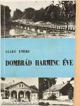 Dombrád harminc éve