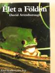 Élet a Földön