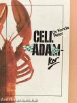 Celladam-kor