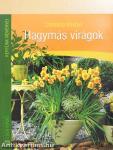 Hagymás virágok