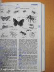 Oxford Wordpower Dictionary