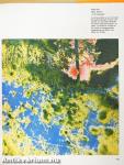 Fotojahrbuch International 1977
