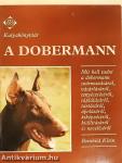 A dobermann